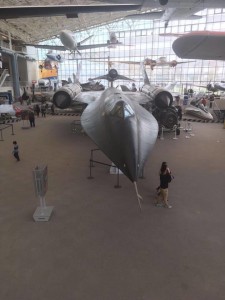 18336828_10211081343660880_901695236_n