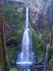 18336966_10211081342980863_724349210_n