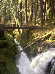 18337140_10211081343380873_1849044707_n